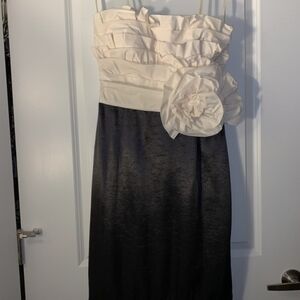 Max And Cleo Size 8 Elegant Black and Cream Strapless Dress